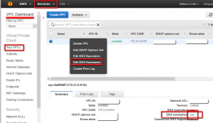 AWS EC2 Public DNS AWS EC2 Public DNS