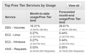 AWS EC2 Cost Management Details AWS EC2 Cost Management Details