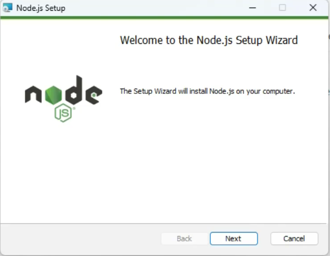 The Node.js Setup Wizard